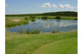 Wolverine Golf
