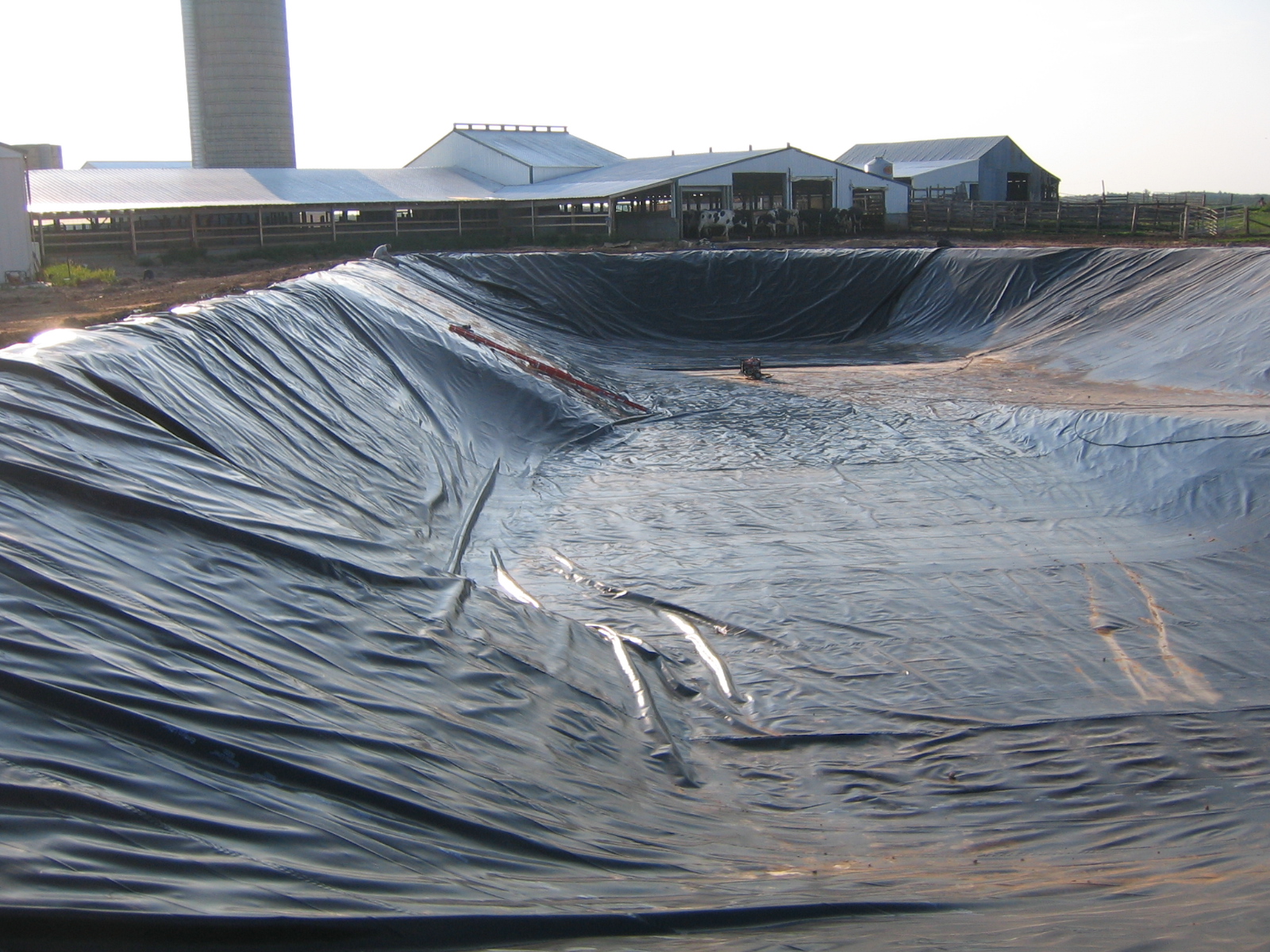 Geomembrane applications in agriculture